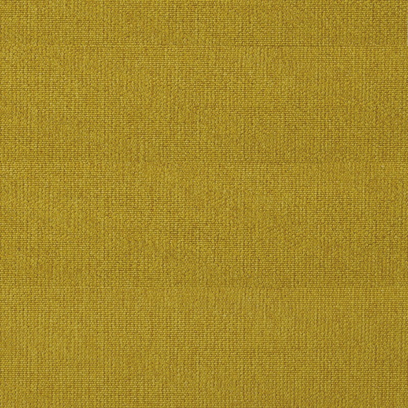 554-Soft-Mustard-Flower-2022